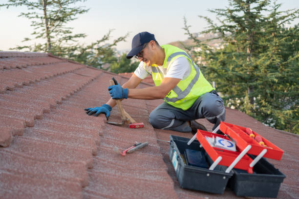 Best Slate Roofing  in Young Harris, GA